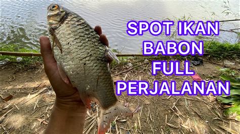 Mancing Wader Babon Di Sungai Progo Simak Perjalananya Mancing Wader