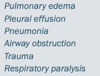 Respiratory Emergencies - Animal Nursing II Flashcards | Quizlet