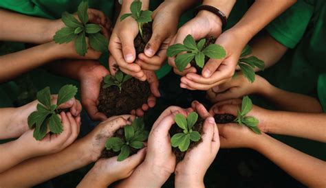 Ajudar O Meio Ambiente Contribuir Para Um Futuro Melhor