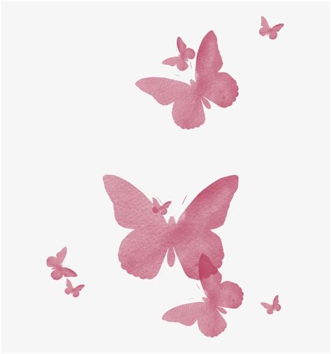 Pink Butterflies Butterfly Transparent Pink Png Png Image