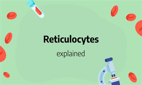 Reticulocytes: Functions, Low, high, Normal Ranges, Diagnoses