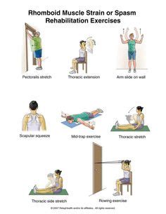 Middle Back Pain Exercises