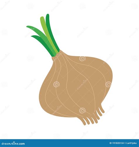 Icono De Cebolla Icono Vegetal Ilustraci N Del Vector Ilustraci N De