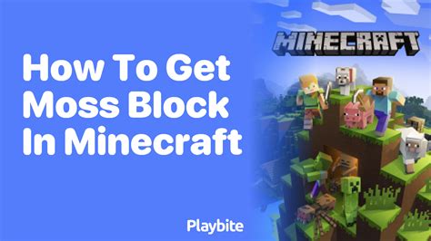 How To Get Moss Block In Minecraft Playbite