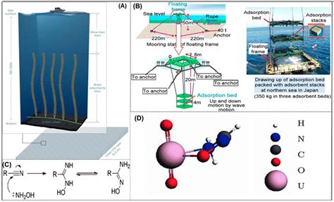 Enhanced Uranium Extraction From Seawater From The Viewpoint Of