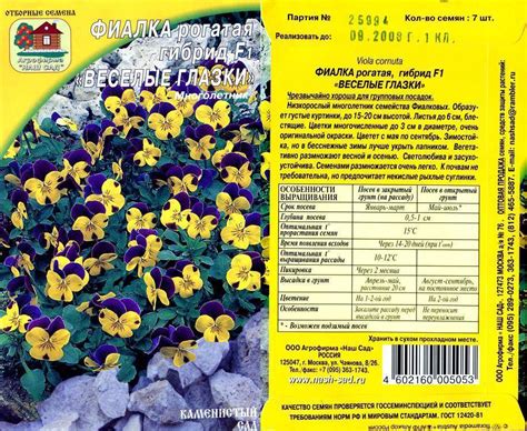 Фиалка садовая многолетняя: посадка и уход, описание, фото