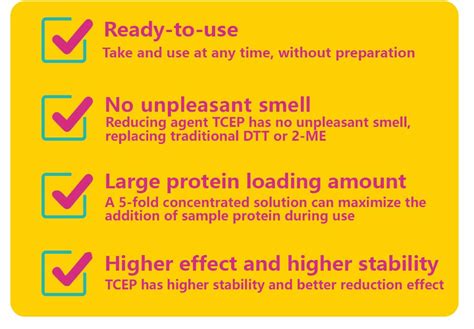 SDS PAGE Sample Loading Buffer Reducing And Denaturing 5X