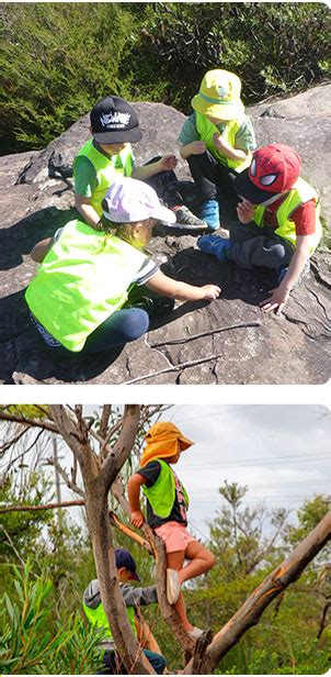 Bush Kindy Program Allambie Bush Kindy