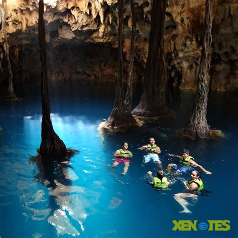 Discovering Beautiful Cenotes With Xenotes Oasis Maya Plan Off