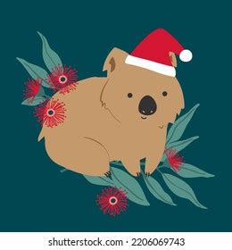 Festive Christmas Australian Wombat Santa Hat Stock Vector (Royalty ...