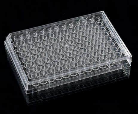 Cell Culture Plate - PT. Indolab Utama | Distributor Alat Kesehatan