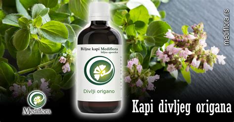 Kapi Divljeg Origana Mediflora