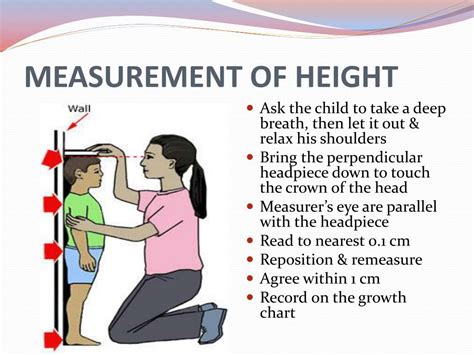 Ppt Measurement Of Growth Anthropometry Powerpoint Presentation Free