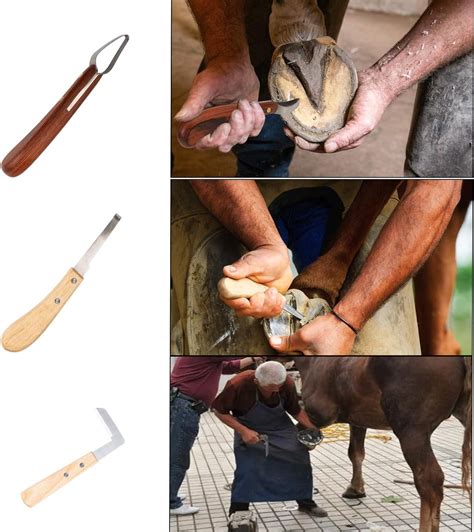 capuca Farrier Tools Horse Hoof Trimmers - 14PCS Goat Hoof Trimmers Kit