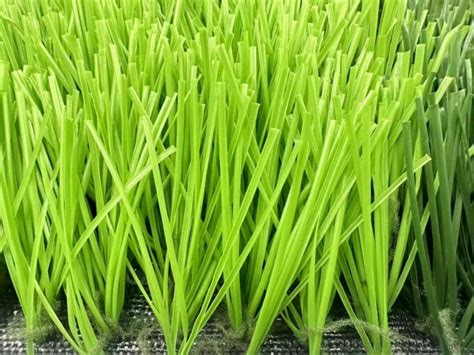 Football Grass - Football Grass Supplier- Fortune