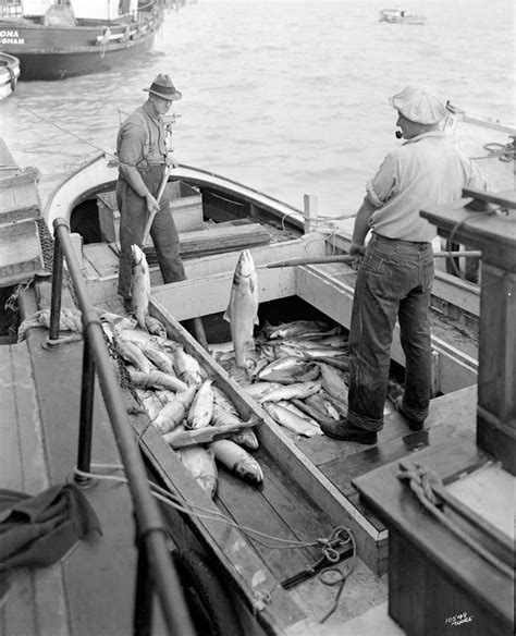 Imperial Cannery Workers Steveston Bc August 17 1938 Imperial