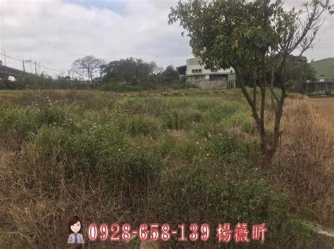 中工擴大二期都內農地 中壢買土地 桃園市中壢區 桃園中壢中工擴大二期雙面臨路都內農地 桃園市土地買賣 我家網