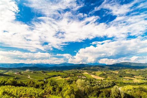 The Beautiful Vineyard Of Collio Friuli Venezia Giulia Italy Stock