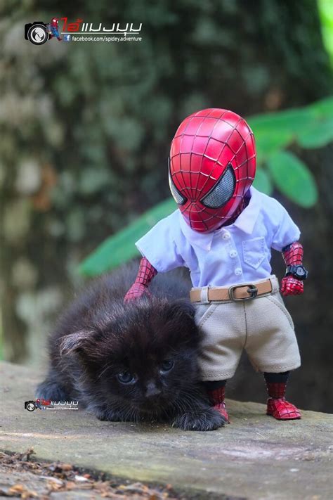 Cenas Divertidas Beb Homem Aranha E Animais Em Situa Es Incr Veis