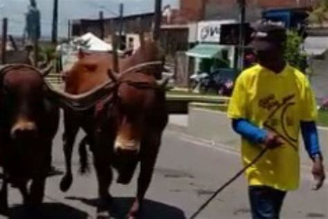 Tomar do Geru realizou a 27º Festa do Carro de Bois