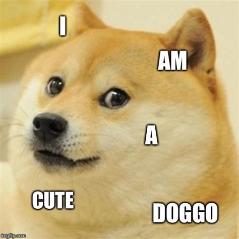 Doge Meme Imgflip