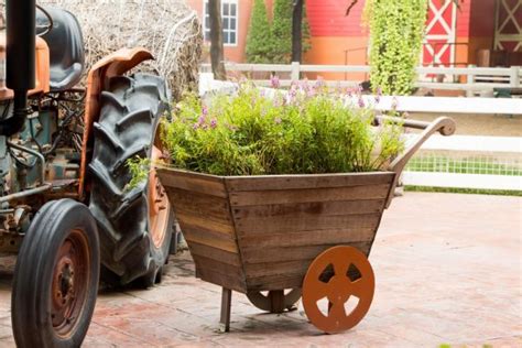 27 Wheelbarrow Planter Ideas Garden Outline