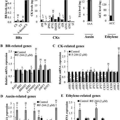 Analysis Of Plant Hormone Levels And Quantitative Rt Pcr Analysis On