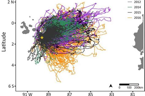 New Study Takes A High Level Look At Nazca Boobies Breeding