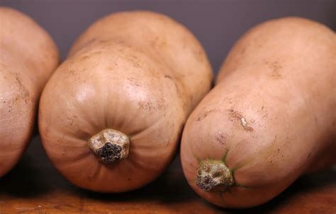 Leclerc Rappelle Des Courges Partout En France Cause De R Sidus D Un