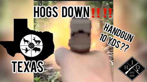 Hogs And Handguns Close Call Hunting 2 Hogs Down‼️🐗🔥 Youtube