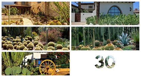 30 formas de tener cactus en tu jardín JARDINES CASA