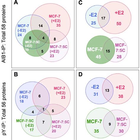 Summary Of Proteins Identified Under Different Conditions Venn Download Scientific Diagram