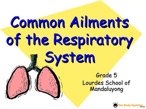 Respiratory System Ppt