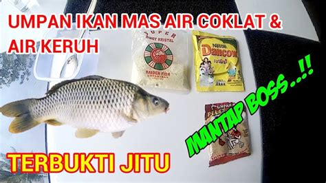 Umpan Jitu Ikan Mas Air Keruh