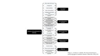 Vitamin E Slide Show Presentation Tocotrienol PPT