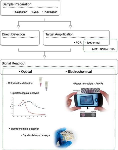 Operational Steps For Pathogen Detection And Characterization Using Download Scientific Diagram