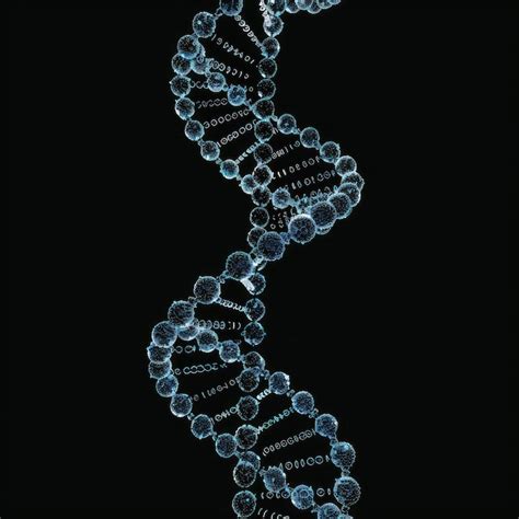 Premium Photo DNA Strand Vector Illustration High Resolution