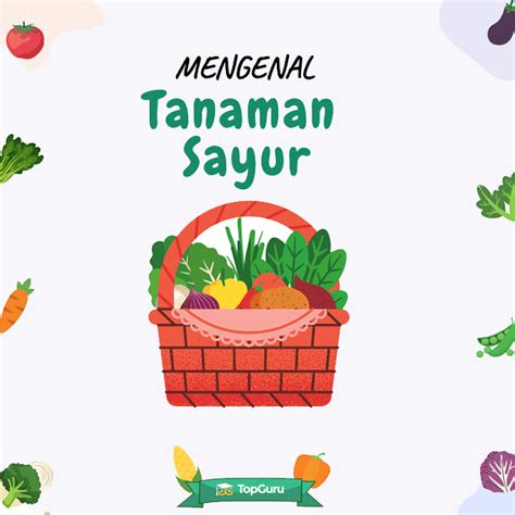 Materi Baru Ajarkan Anak Anda Mengenal Tentang Tanaman Sayur Lebih