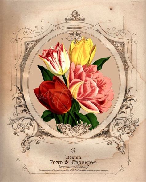 French Country Floral Art Print Pink And Yellow Flowers Iii Artwork