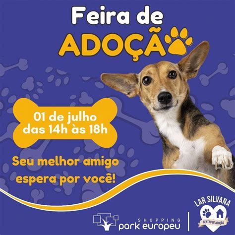 Jornal De Blumenau Shopping Park Europeu Promove Feira De Ado O De