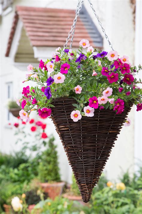 Most Common Hanging Basket Flowers