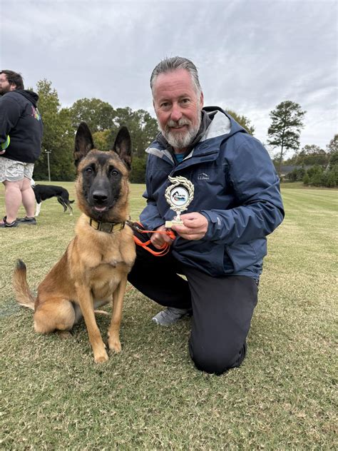This is pure... - Belgian Malinois Kennel "Chien Policier" | Facebook