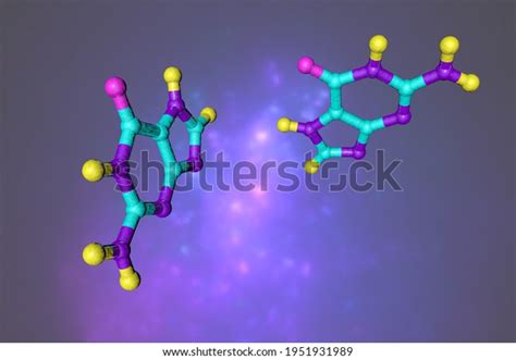 Molecular Structure Guanine One Four Main Stock Illustration 1951931989