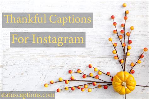 Thanksgiving Captions Best Thanksgiving Instagram Captions