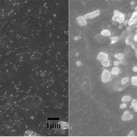 Characterization Of Green Synthesized Agnps From C Spinosa Unripe