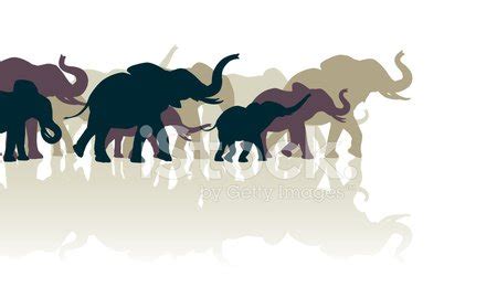 Elephant Herd Stock Vector | Royalty-Free | FreeImages