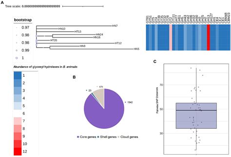 Frontiers Whole Genome Resequencing And Transcriptional Profiling