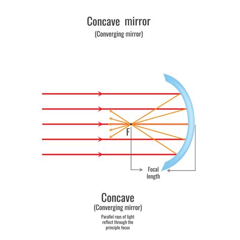 Reflection of light on concave mirror 23452905 Vector Art at Vecteezy