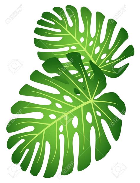 Tropical Leaves Clipart Free Download On Clipartmag