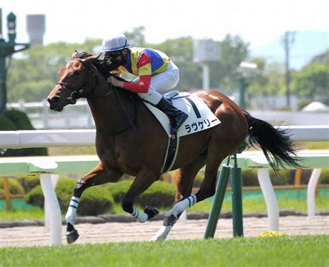 【函館新馬戦】ラヴケリー、絶妙なペース配分で3馬身差v！団野「完勝だったと思います」― スポニチ Sponichi Annex ギャンブル